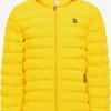 Schmuddelwedda Winterjacken Jacke Männer Gelb -Schmuddelwedda 6a1996943959b42ff3a6868f8e6dd541